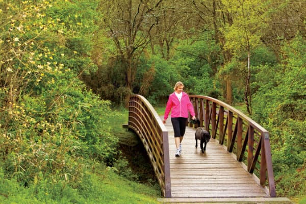 Brentwood inception-app-prod/MDk5N2M0YzgtNWQ0Ny00NzZkLWI1ZjItYjZmYTk5YjJmYjA3/content/2020/01/website600pxwidewilliamson-1.png