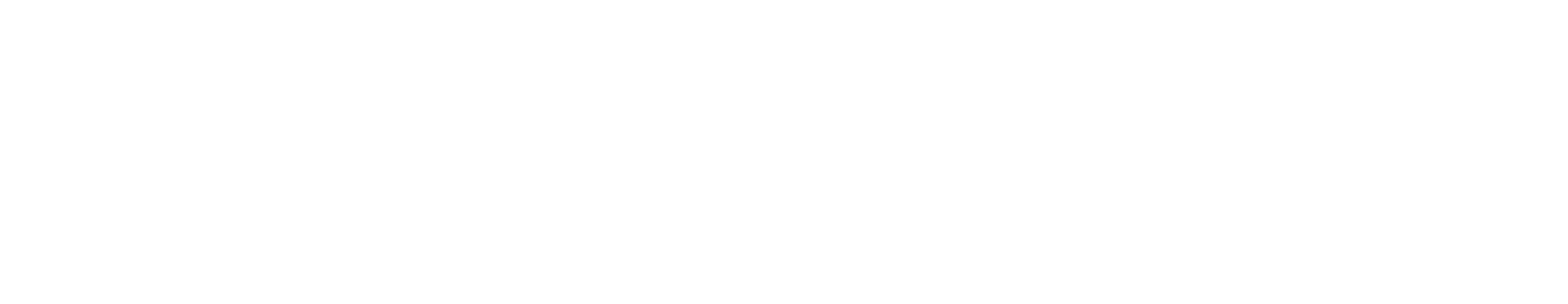 Courtney Newton and Associates logo