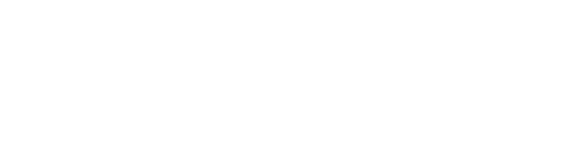 Courtney Newton and Associates logo