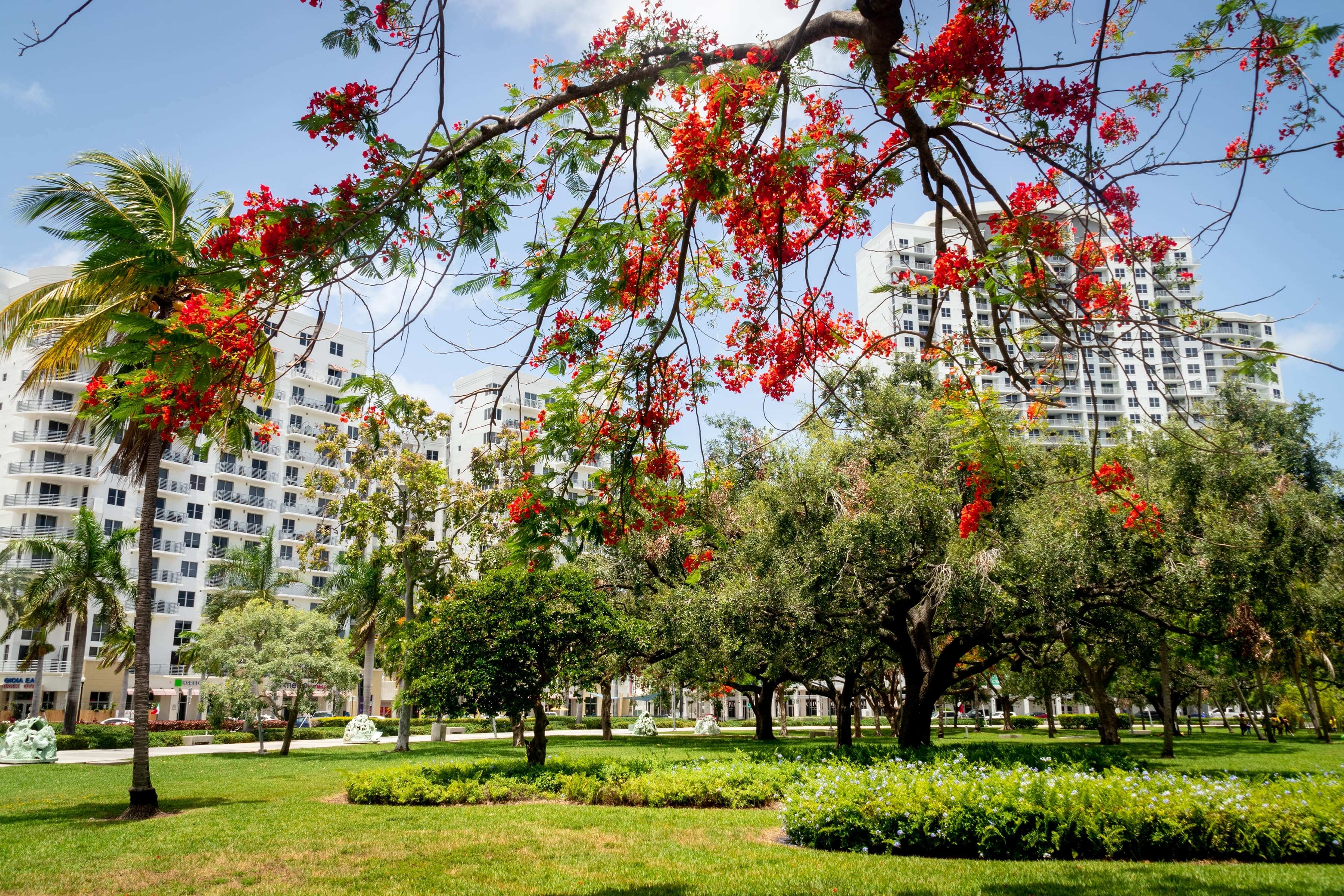 Poinciana inception-app-prod/MGJjYTA1YWEtYjkwNi00OGJhLWJmZjQtZTIzZjMwMDljNThj/content/2023/01/f7da4730077467c63ffdb25d918961fd099989a8.jpg