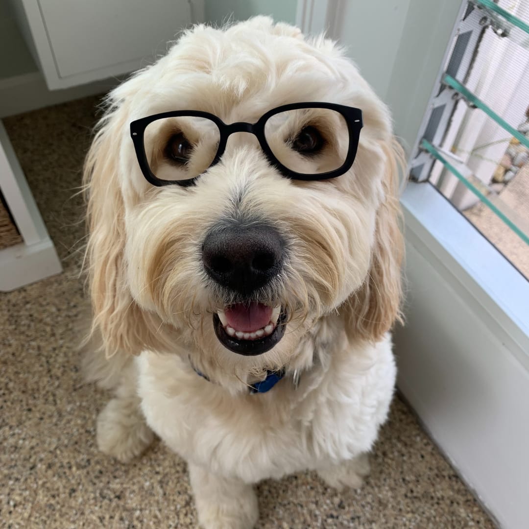 Broker Bear's (Before) Back to School List! inception-app-prod/MGM0MTU4NzEtOWRiMS00MjQyLWJiMTAtMDIzY2U4NTg0OThl/content/2023/08/6ec4c8088f45ea51fdf7900722154248bf58f4f5.png