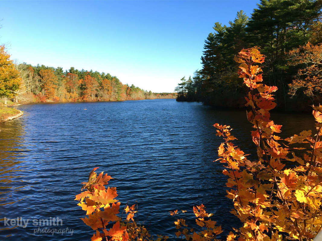 Mattapoisett inception-app-prod/MGMxN2M5ZTEtYmFkYi00YWE4LWIyM2MtMmE2MjQxNTM0Mjgy/content/2019/01/Snipatuit Pond in Autumn Kelly Smith.jpg