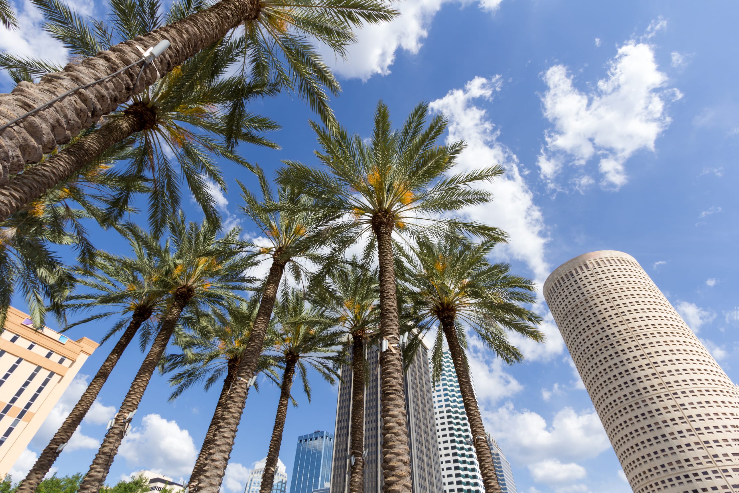 TAMPA inception-app-prod/MGQzZjI4M2YtYWU3ZS00OWUzLWE3ZTAtOWFkNTUxOGE0MDJm/content/2022/10/95d240e3458f7d67ad0e717d633a4717517c582e.jpg