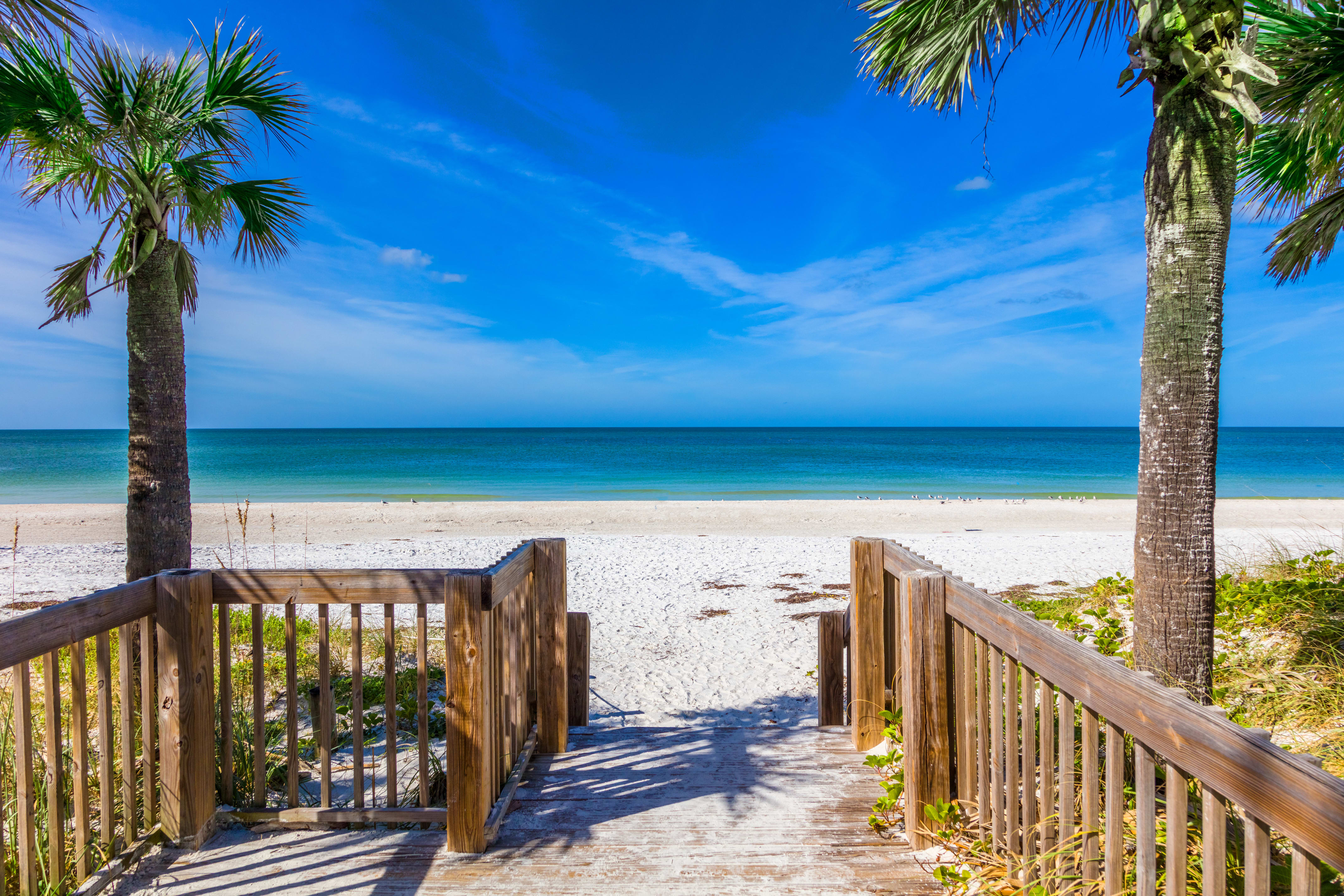 LONGBOAT KEY inception-app-prod/MGQzZjI4M2YtYWU3ZS00OWUzLWE3ZTAtOWFkNTUxOGE0MDJm/content/2022/10/e513922972ad10d356cc5f389e95e86edc564aa5.jpg