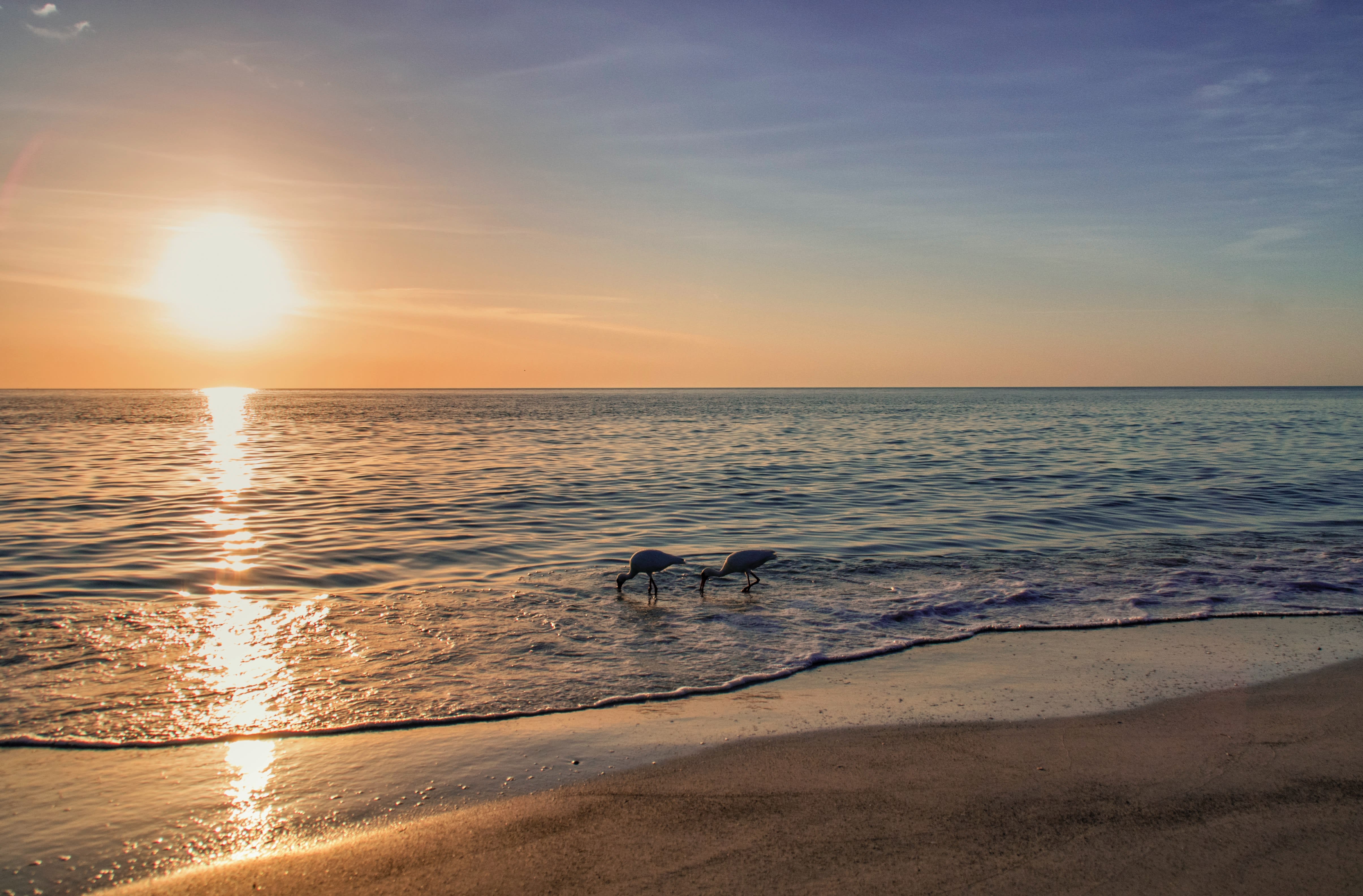 Top Destinations For Your Next Home Investment in Sarasota, Tampa, and Longboat Key inception-app-prod/MGQzZjI4M2YtYWU3ZS00OWUzLWE3ZTAtOWFkNTUxOGE0MDJm/content/2022/11/b57122970a487ac08845c5ce60c00f4f4212393c.jpg