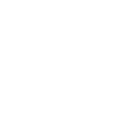 Saydam Properties Group logo