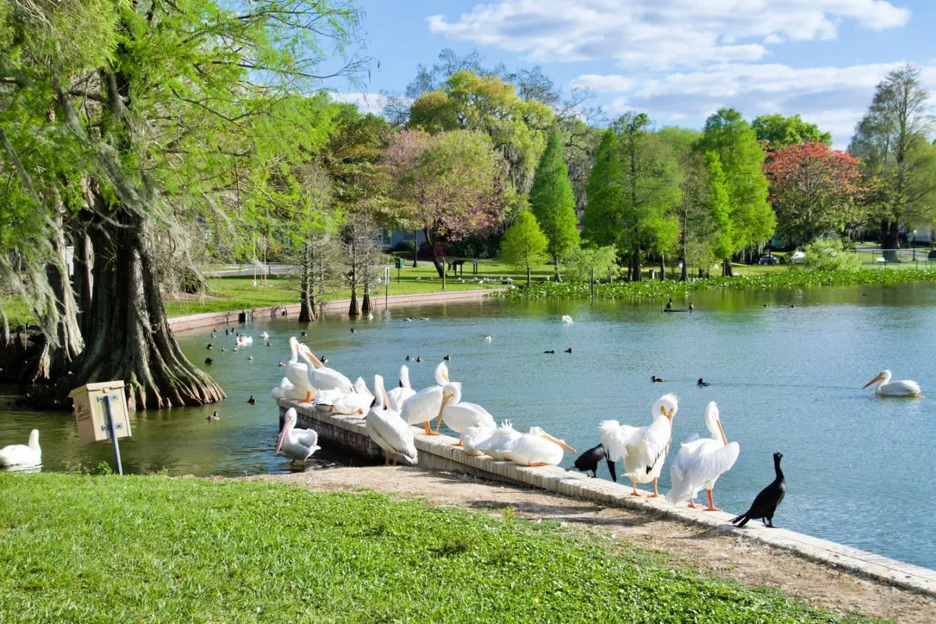 Living in South Lakeland: The Perfect Blend of Comfort, Convenience, and Community inception-app-prod/MGRlYzk5ODctMzVkYS00NzFlLTljYTQtN2EzOGU1NjAwYTU3/content/2025/03/8c8a62cdbffc16f7db872b495adeb199683247c5.jpg