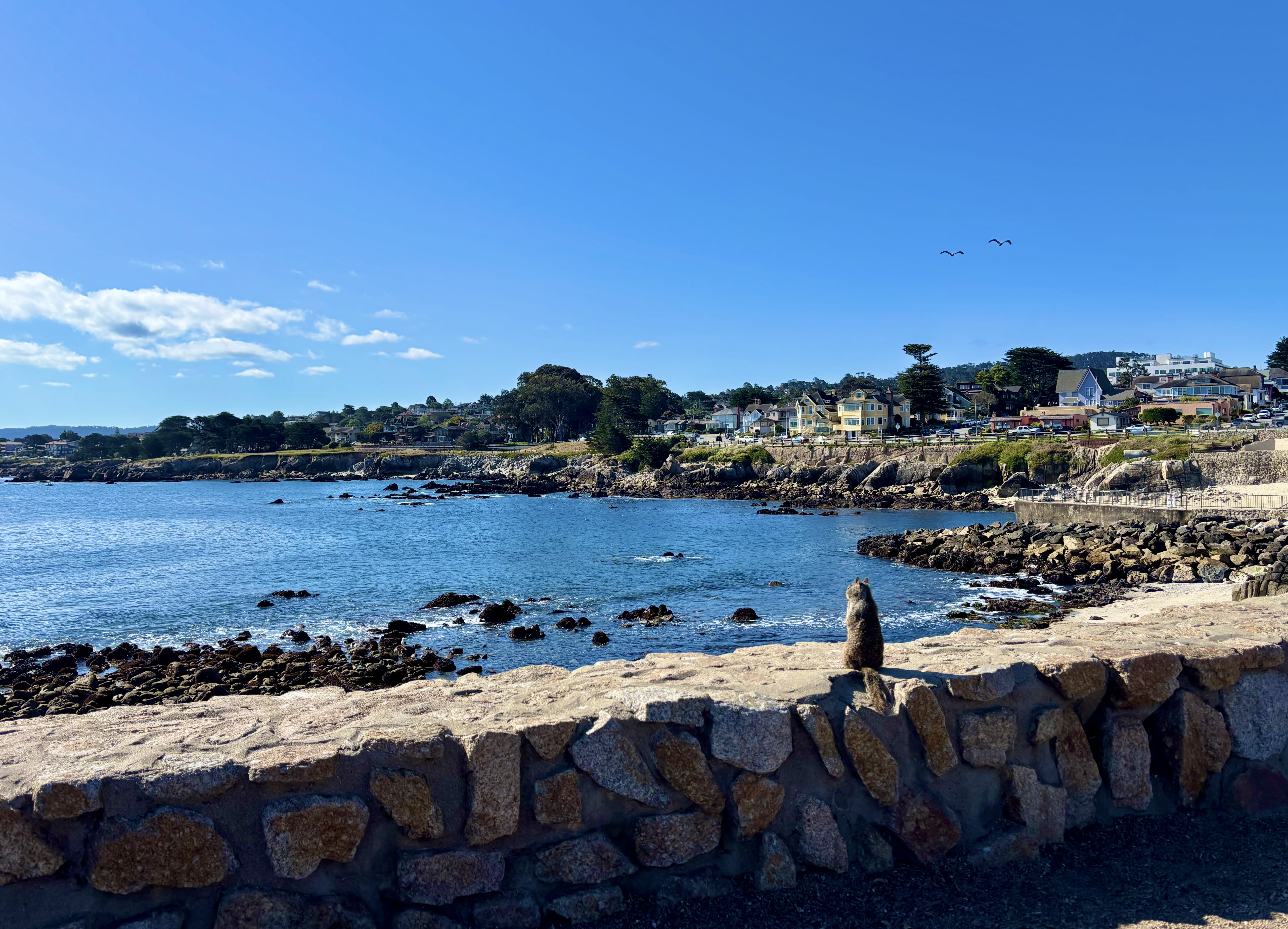 Why September May Be the Best Month to Live on the Monterey Peninsula inception-app-prod/MGY0OThiMGMtMzcyOS00YWM4LWJiNGItNmE5MDFhM2I0NTgx/content/2026/08/3544f593fc4a229cda1fcf21bb70656d4a445705.jpg
