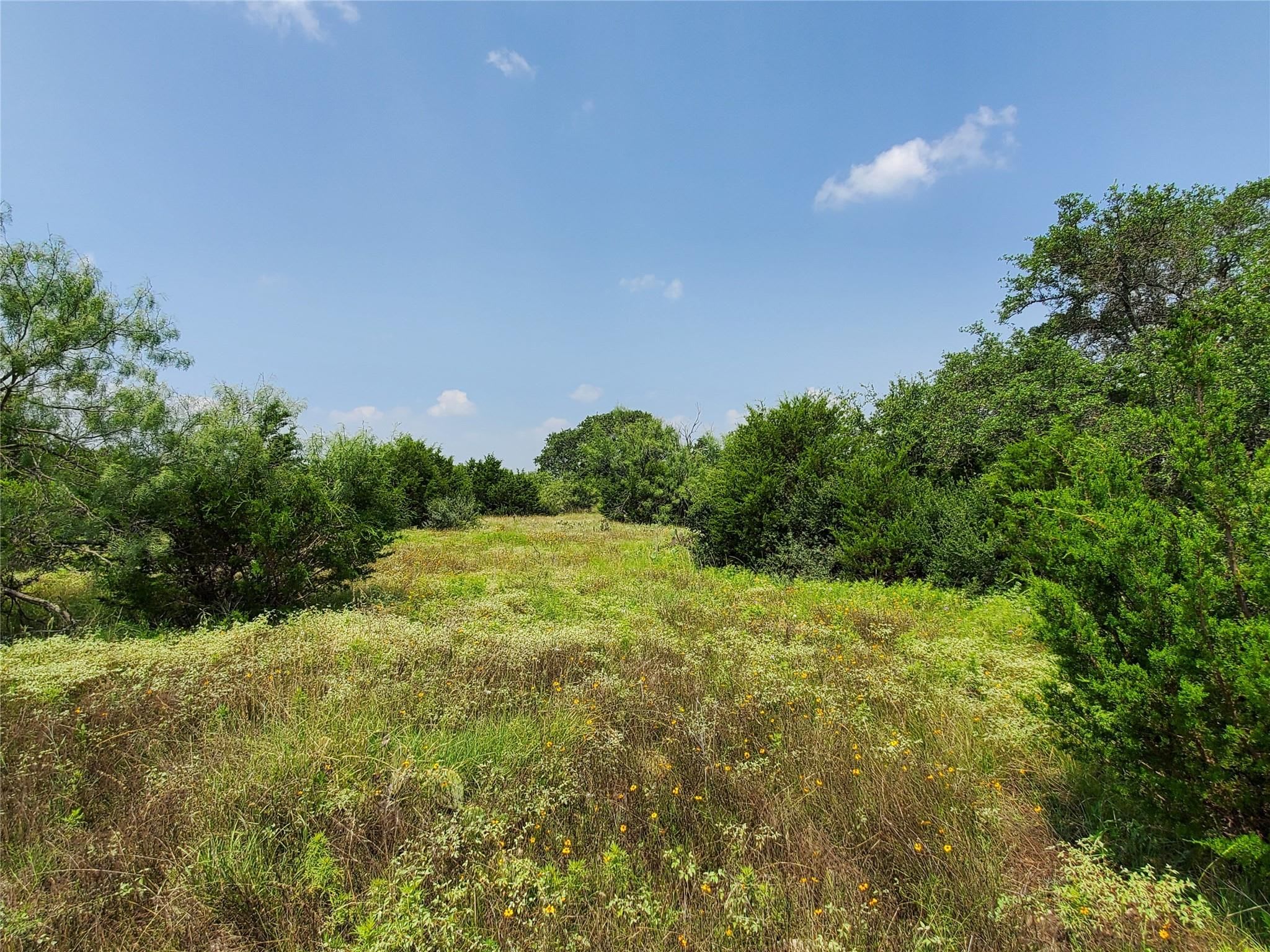 San Saba inception-app-prod/MGZjZjQ4ZTgtMWZlNi00YTFhLTg5MjQtN2ZkZGEyNmNmNmU1/content/2025/02/a7c4445c1845ab385db4a13c8ea4f530501a2d20.jpeg