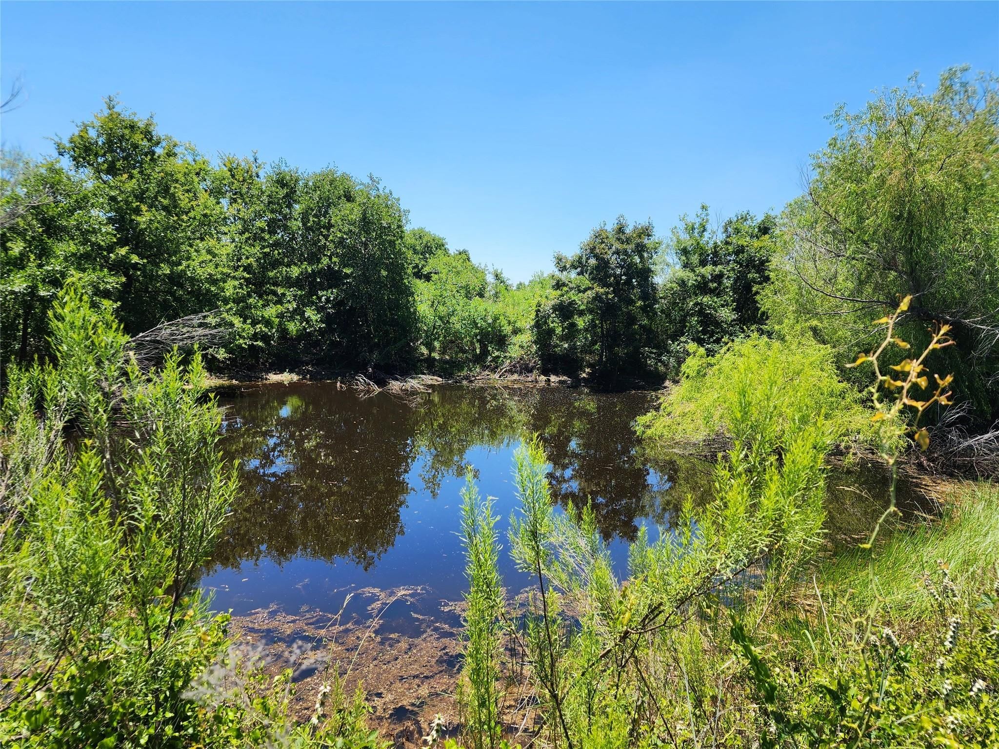 Comanche inception-app-prod/MGZjZjQ4ZTgtMWZlNi00YTFhLTg5MjQtN2ZkZGEyNmNmNmU1/content/2025/02/fe5a16fa0d3364181f0e8de8c804e4be61aabd78.jpeg