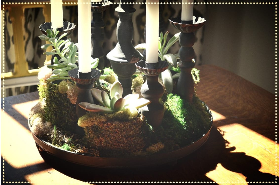 Soul-Worthy DIY: Green All-Year Arrangement inception-app-prod/MGZkMjFmYmMtZTRiYy00MTU1LWFiZDAtZDJiOGNlODZlZDZj/content/2017/08/Screen Shot 2016-01-28 at 4.45.29 PM.png