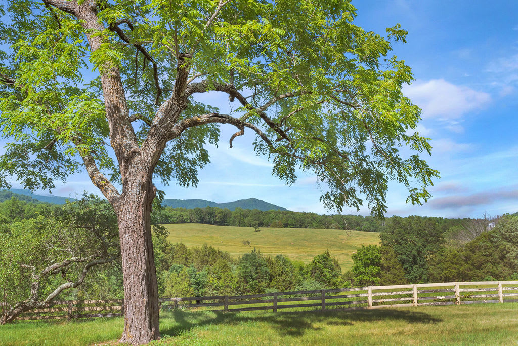 GREENE inception-app-prod/MTBhZWE2MGItYmNiYy00MzVkLTg2ZjAtZTliM2M3ZjJhNTI2/content/2022/03/2eb7998dbce11683333699604ad1d958ecb3a238.jpg