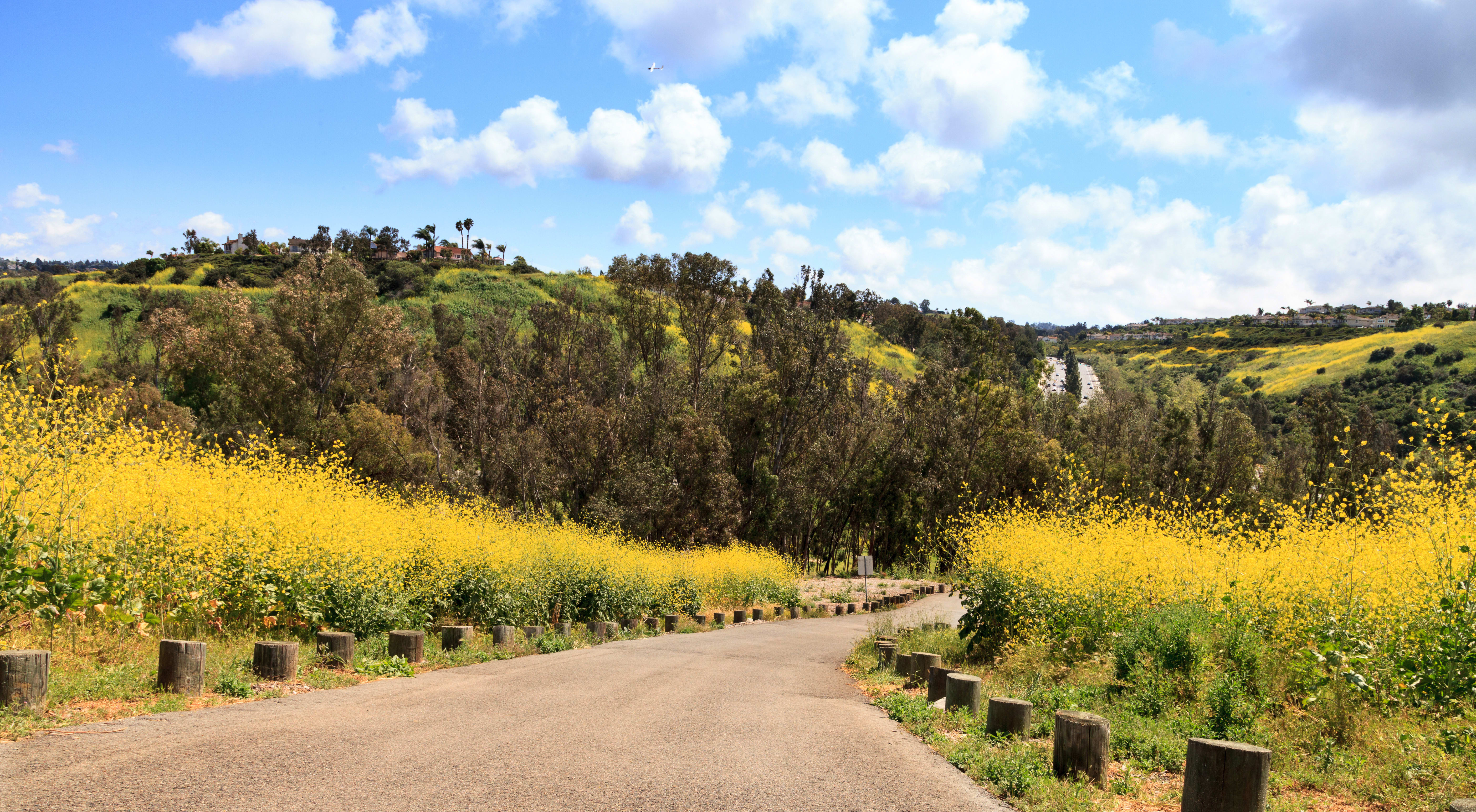 Aliso Viejo Weekend Living Guide for Relocators Seeking the Right Fit inception-app-prod/MTFjOGE5ZTAtYzkxMS00MjA2LTkyMjMtZGViNjQ1NWIwYTRm/content/2026/06/370ece76b38c88ce38ee0b6ae0c88e10d971f2a8.jpg
