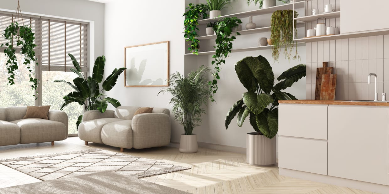BIOPHILIC DESIGN: THE HOTTEST NEW TREND IN HOME DECOR inception-app-prod/MTJjMTc4YzEtY2JiYS00MTdlLWFjZDQtMDg0MGY1NDg2Mjc0/content/2025/02/1bf90fdff31cad4744020688715225f10ac219e9.png