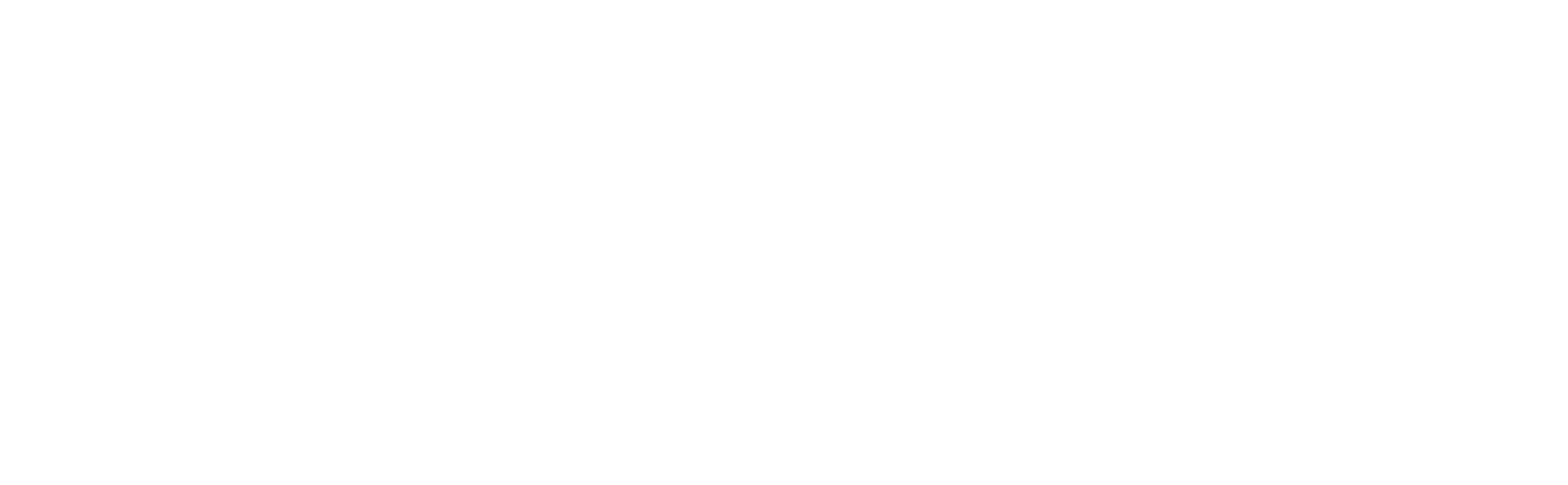 Debra Smith logo