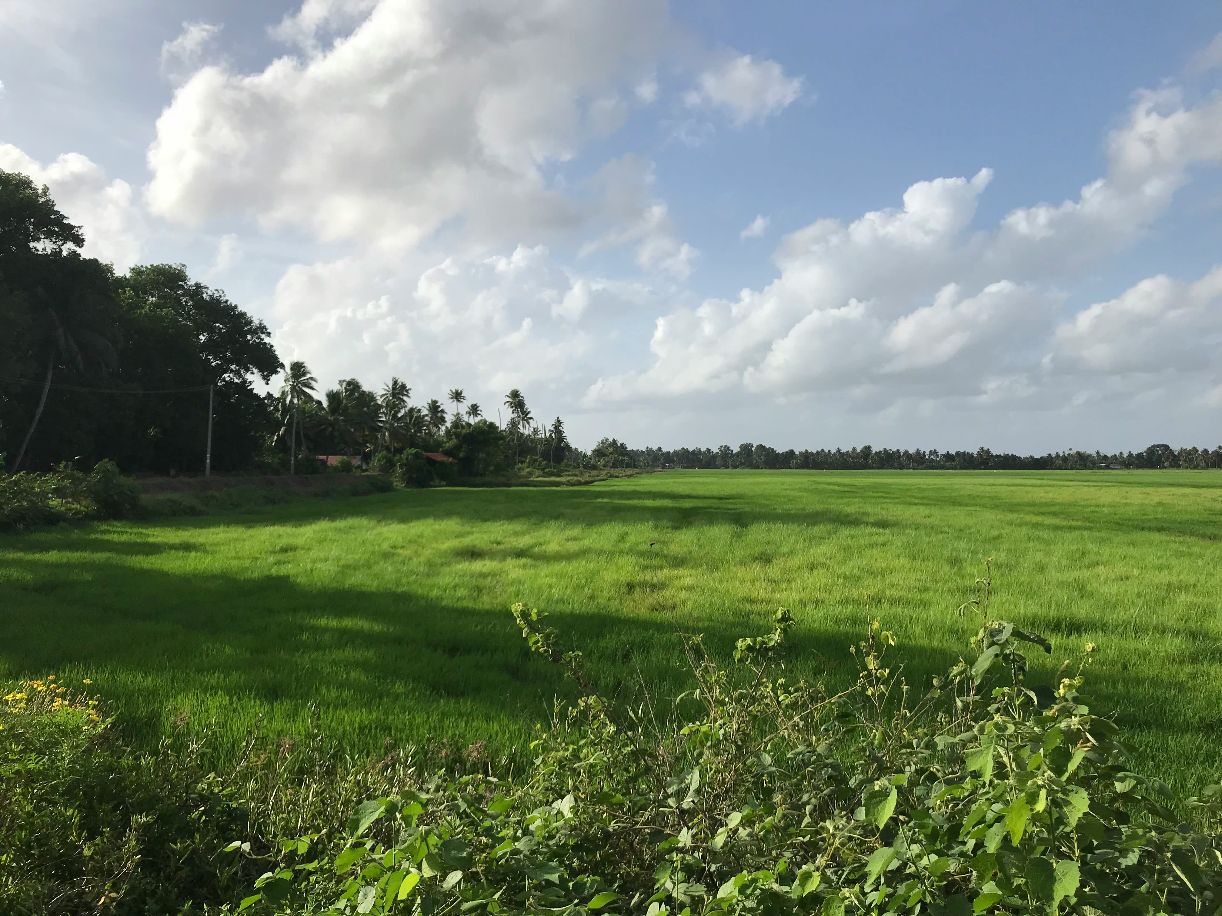 Search Land inception-app-prod/MTQ3MTczMGYtOGQ4YS00NDBlLWFhNjYtMDJmYmEzODg3YTdm/content/2025/08/9a1ff14130694cd7696cc0ffe3360f58dac9e157.jpg