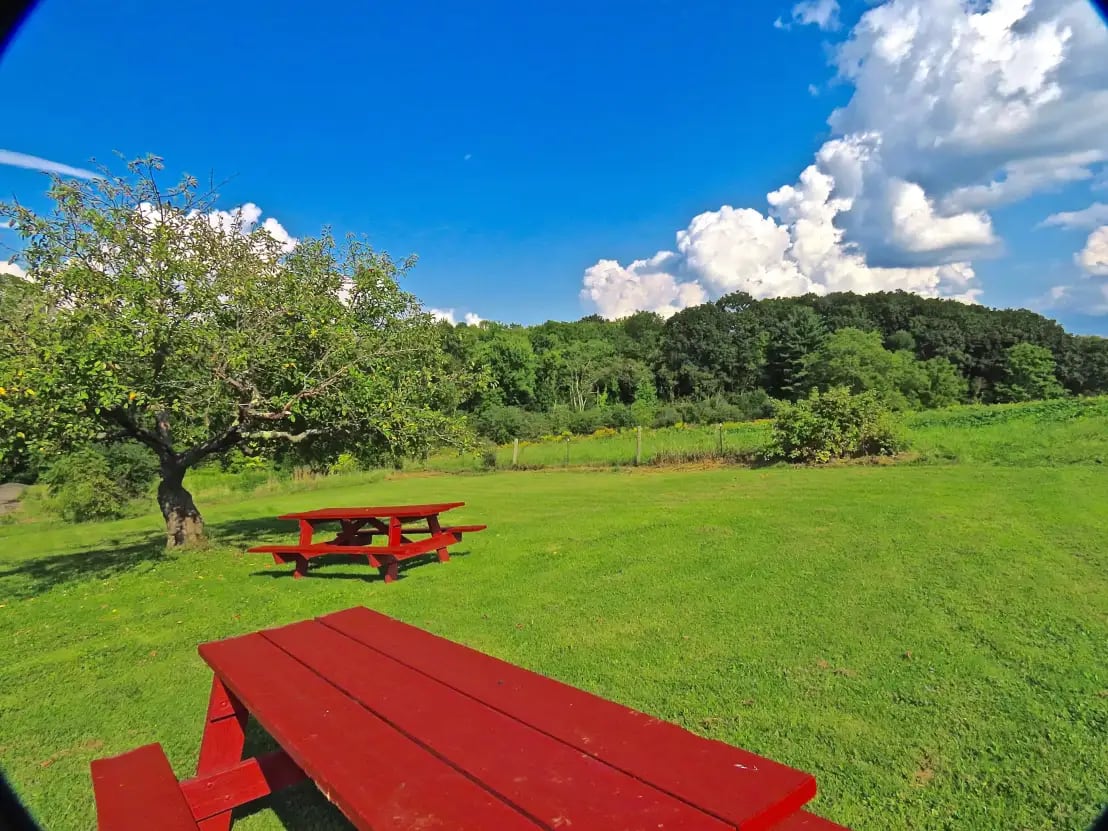 North Brookfield, MA inception-app-prod/MTVkODk2NzktMTc2Yy00NjUzLWI4NGMtMGIzYTFlYjUwOTIz/content/2025/09/a2f0d96ced71a41a410792f6eb8a9be68ccaf6f2.webp