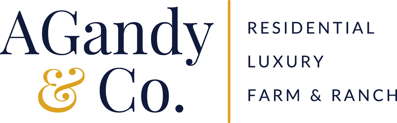 AGandy & Co. inception-app-prod/MTVkOGE5OTgtZGI0ZC00ODQ1LWEyMDYtMzJhMWJiMjI3YWEz/content/2021/04/2%285%29.png