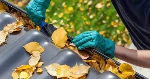 Fall Maintenance Tips for Florida Homeowners inception-app-prod/MTdlOWY3YTQtMDhiNS00MjUzLTg3MGMtNjgzZjdiOTJiOTE5/content/2023/10/88fedeb13658b5d3a286c3ee24fe266f3ac73c19.jpeg