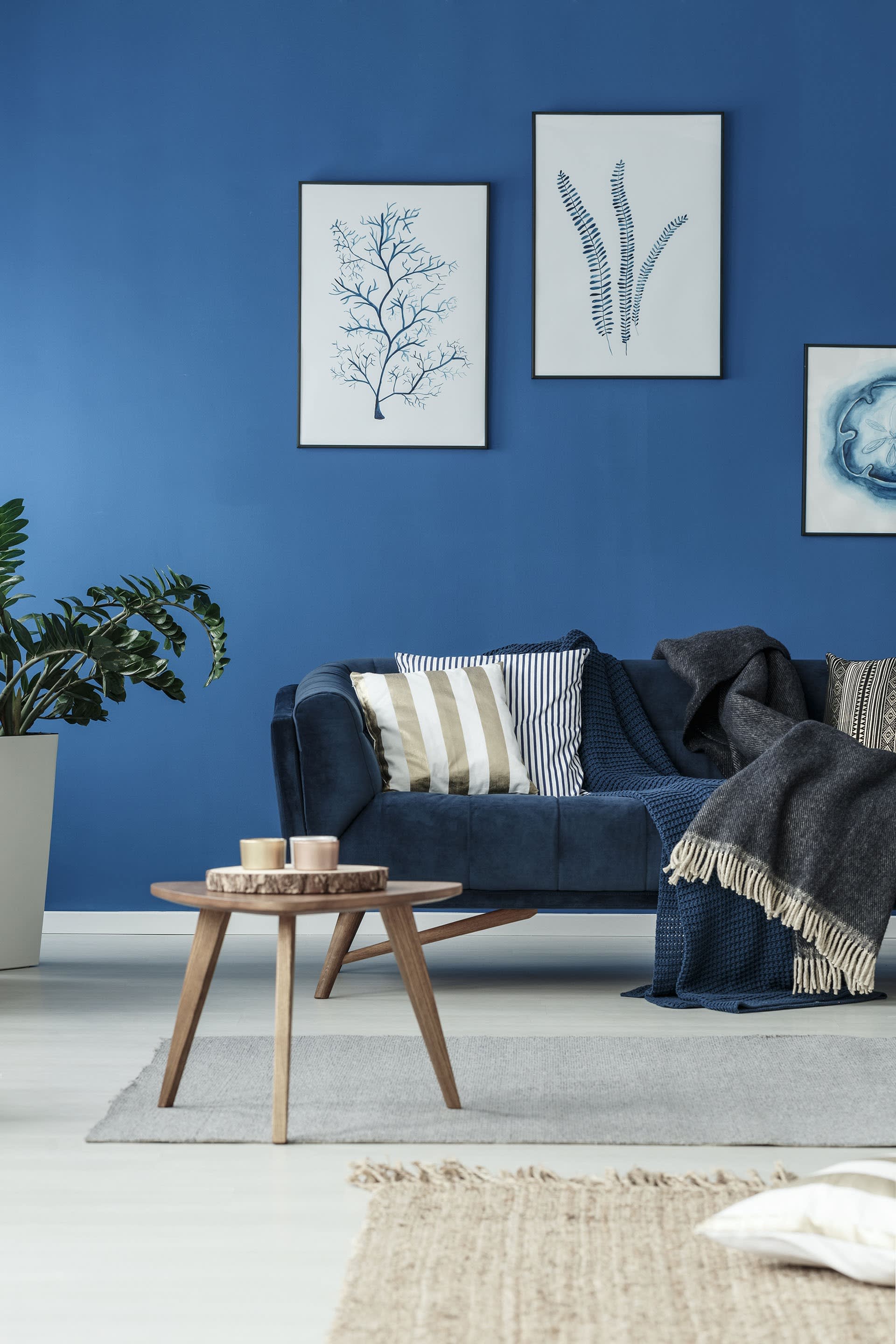 Find Out What Your Home is Worth in Today's Market inception-app-prod/MTkxMjM5ZjQtM2E5Mi00M2VhLTk3NWQtZTBkMTU5M2FmZWUz/content/2020/11/shutterstock637886374.jpg