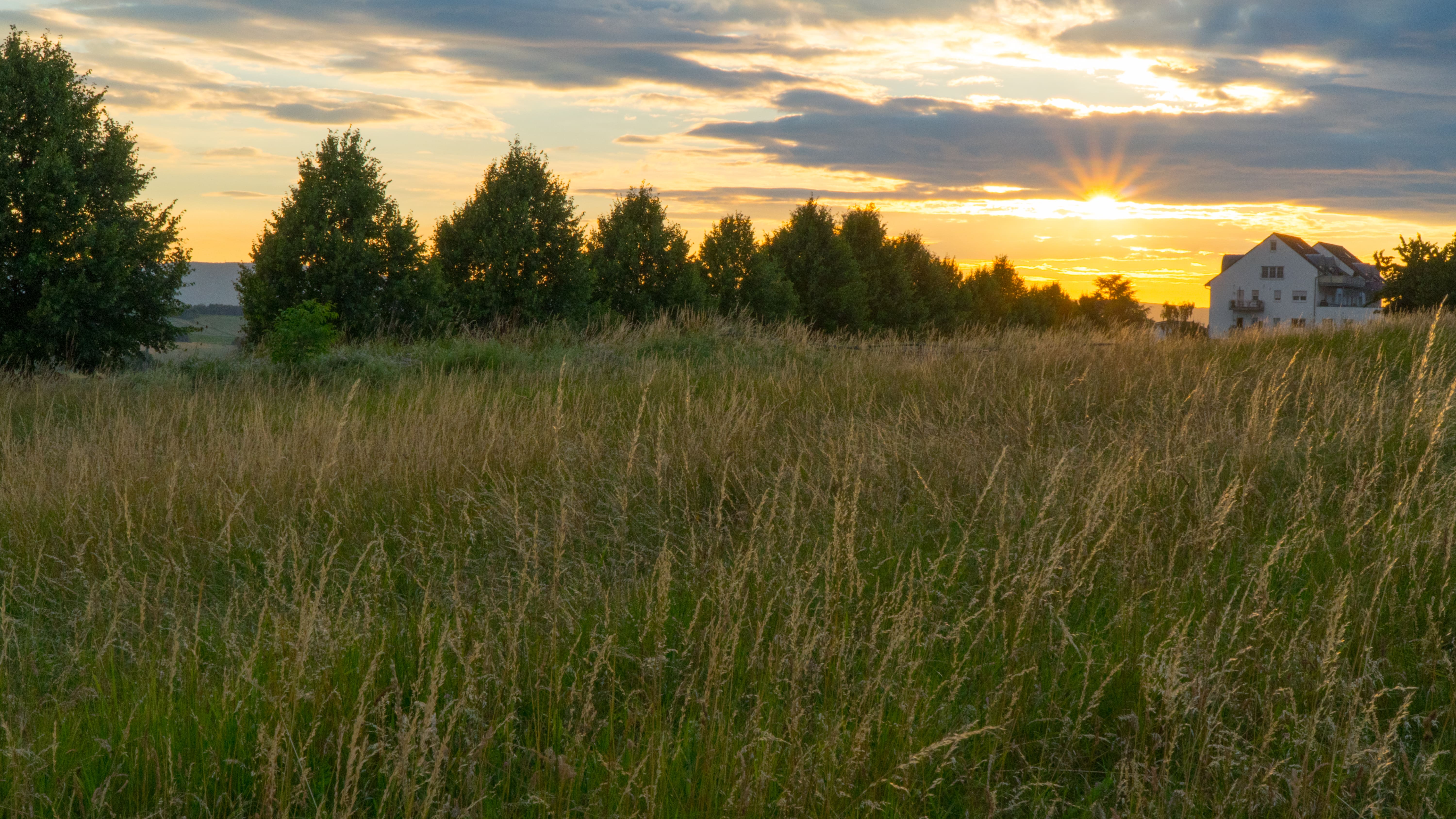 Farm inception-app-prod/MWEzNDAzN2YtNjM3Ni00Zjc2LWFkMDUtNTRjZTYxNWE5NzA2/content/2022/05/95e36bf5c46c7be4ed6edf223008eb541e7acbe9.jpg