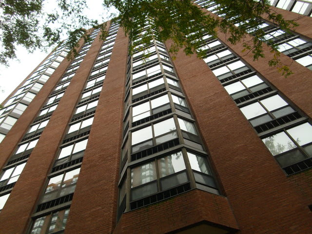 South Loop inception-app-prod/MWU5MmJjNTQtMjJhOS00MzRmLWIxMGYtMjUyYmIxMzlkYWJi/content/2018/10/10110851_1.jpg