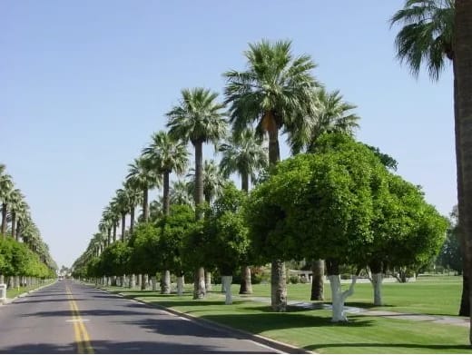 Litchfield Park inception-app-prod/MWVkNWQyMDQtM2U4MS00OTVkLTk4MTUtNzM4ZGJiMzFlMjFh/content/2024/10/2da3629d19b43b2a1c17326fbb2088714475c351.png