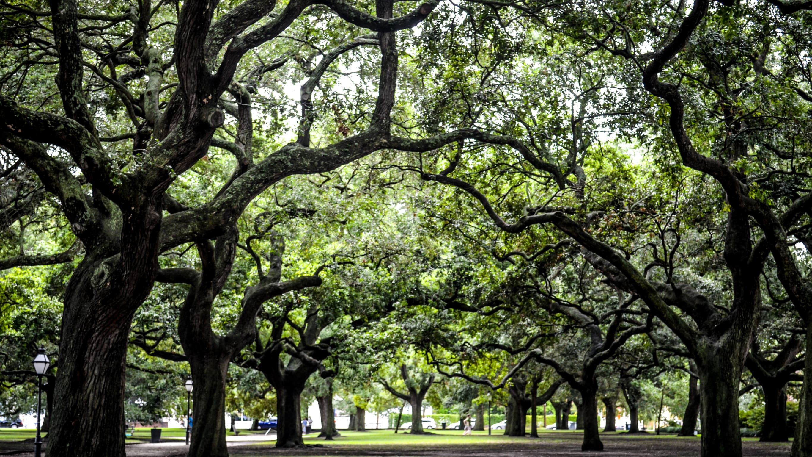 Travelers Rest, SC inception-app-prod/Mjc1ZjE0YTQtOWZjNi00ZDNkLTkzNTUtMWRlYjU2ZjRjNmE4/content/2024/09/47072d5bc380430982bb05b6a873a37c75113f5b.png