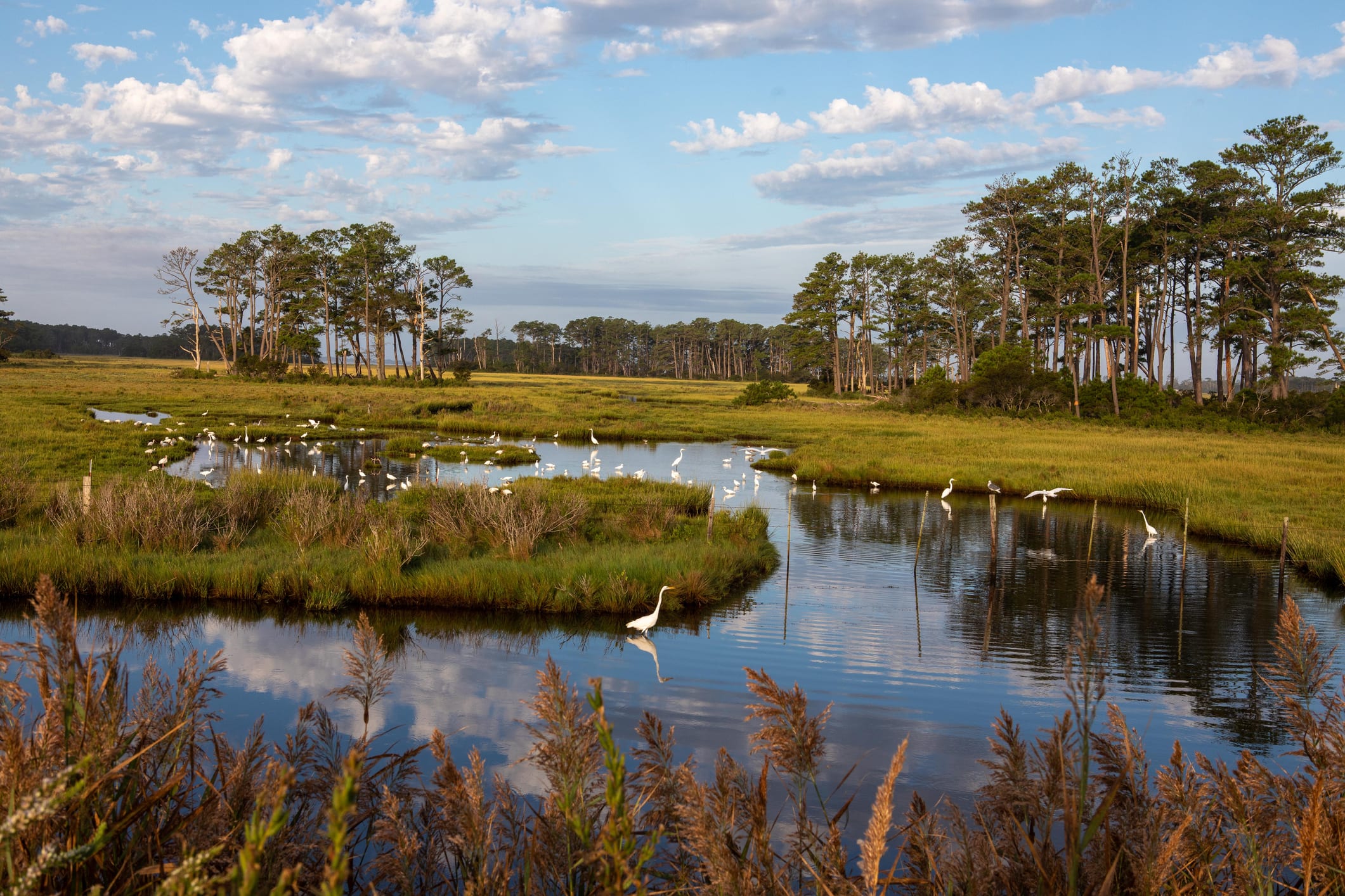 SOUTH POINT inception-app-prod/Mjg0OTEyNmMtNGI4MC00NzMxLTgxZDAtNWFjMGVkZjg1M2I3/content/2022/02/917549d7b1a5a2eb13371402a1724d613df19fef.jpg