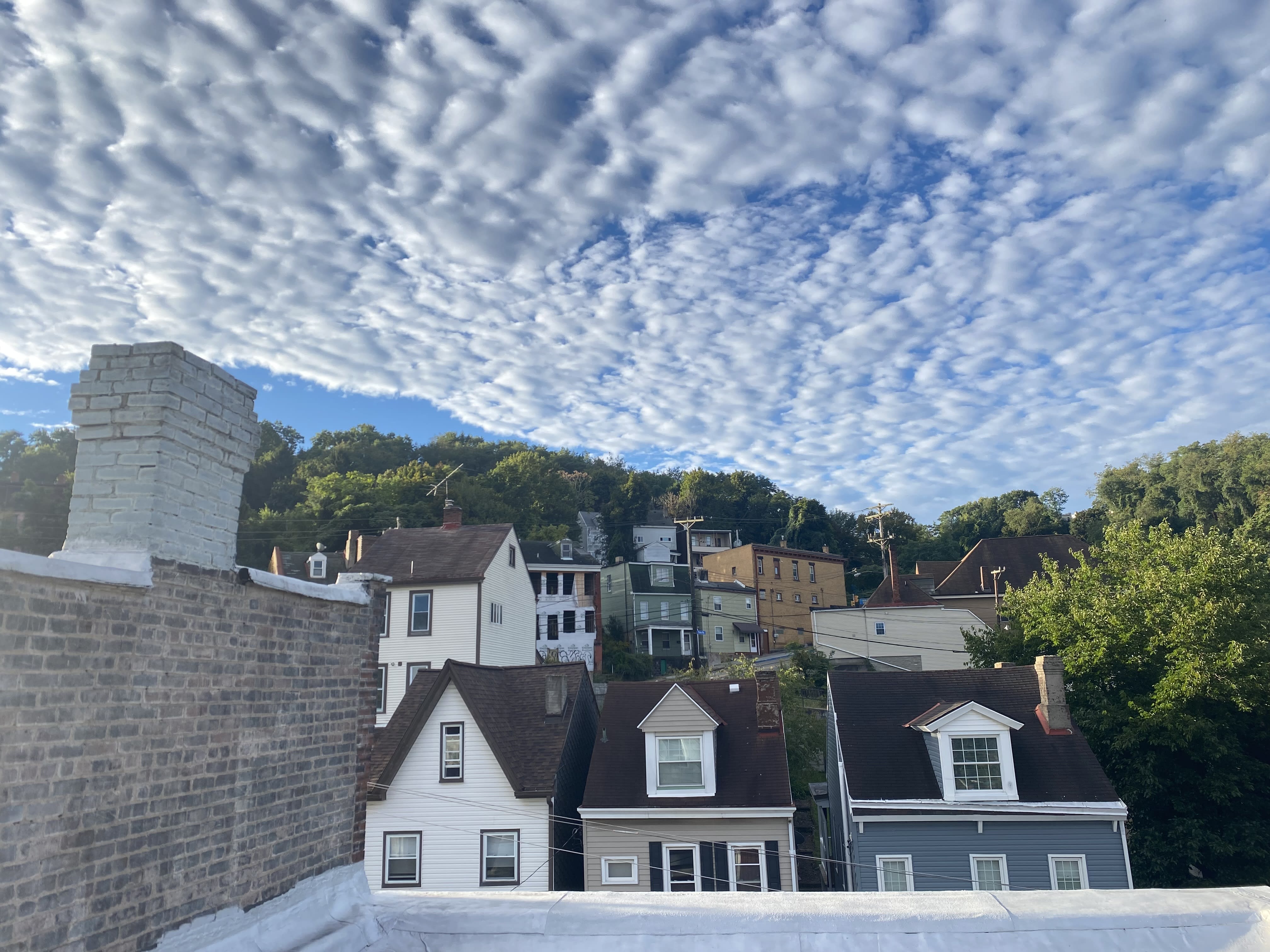 Polish Hill Homes for Sale | ERG Pittsburgh Guide inception-app-prod/MmFiZmEzNDgtYmQwNi00MmUwLWFjYmEtZjM4MzY0MzhlOTdl/content/2026/06/ca3c4c1864a84abdf3f18a776763c7b326aa9e43.jpeg