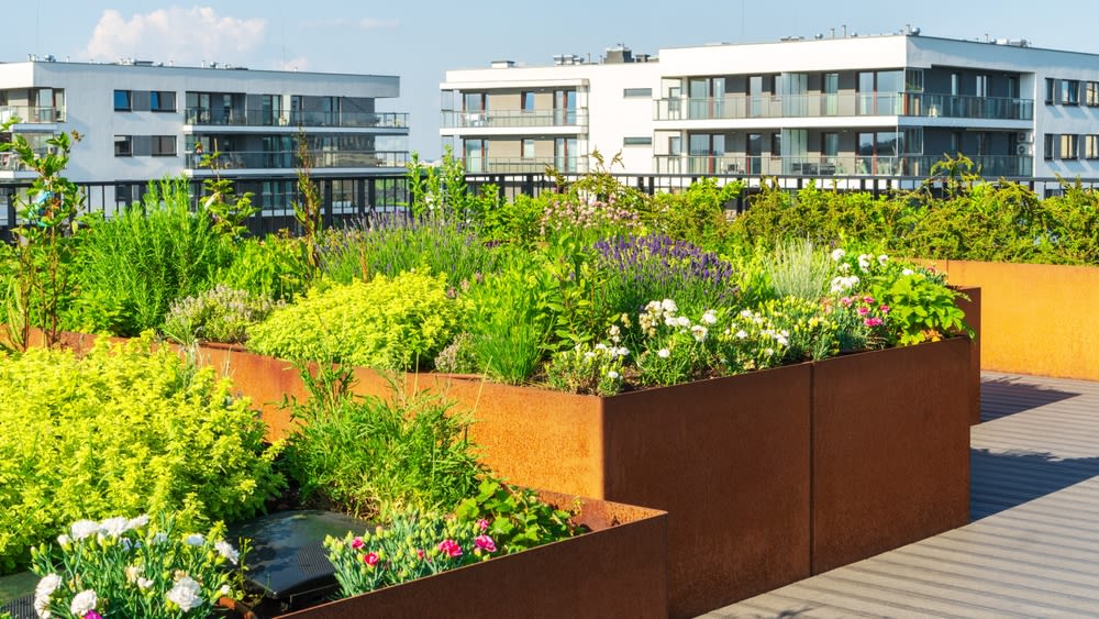 Transform Your City Living: The Ultimate Guide to Urban Gardening for Small Spaces – Tips for Container, Vertical, and Rooftop Gardens inception-app-prod/MmIzNzFmNmItMDMzMS00MjExLWI3ZDQtNWI3OWU4ZDEwZmNk/content/2024/06/d092f85c8478243e8498f70d8711e8d825bd9382.jpg