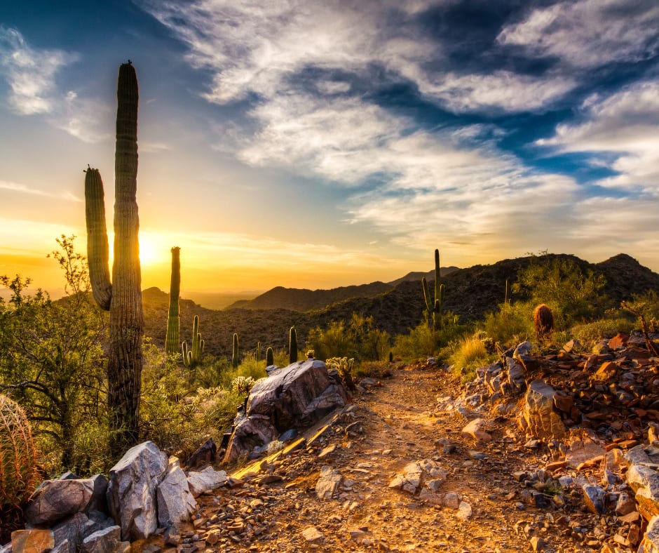 Carefree AZ Luxury Real Estate - Homes & Condos for Sale inception-app-prod/MmM0OTgwYzMtNjkxYS00Y2EyLWE1NTctMzg3OTY0ZWViNTgz/content/2022/11/41e07055a98b57f7f357e9ae43030135a65992a6.png