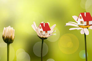 Forget the Snow: Spring Has Sprung in the Nation's Housing Markets inception-app-prod/MmU2ZmM3YWMtZDUxMC00YWM4LWJhZjUtYWM4ZWViZjMwOGVh/content/2017/03/SpringHasSprung_Blog.jpg