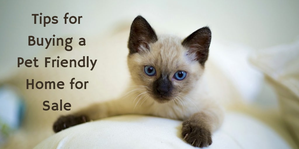 inception-app-prod/MmUyOTBlZjktYzk3MS00NWQzLWIyOWQtZjQ1OTZjY2ZiNWU4/content/2018/04/Tips for Buying a Pet Friendly Home for Sale.png