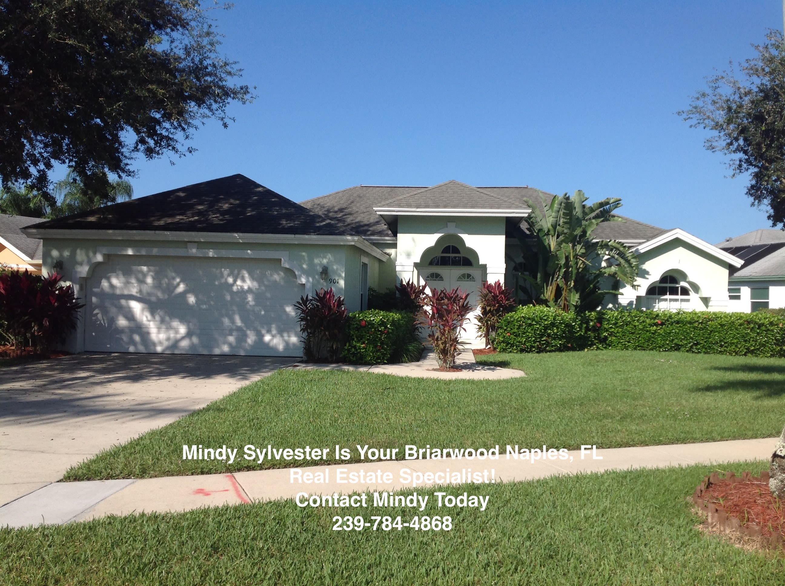 inception-app-prod/MzA4MDg4OWYtYzkzMi00MTQ3LTkwYWMtZGU0MTc0NjVkYTg5/content/2016/07/Briarwood Naples FL Worsdall-2.jpg