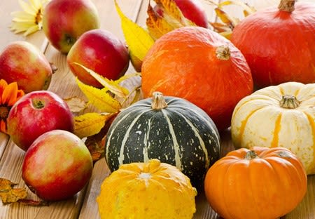 FALL IS HERE! inception-app-prod/MzAwYjAzNDktZmNiZS00NWIyLTlkYWEtYTM4NjY5OTgxNGY4/content/2018/07/31936886_s.jpg