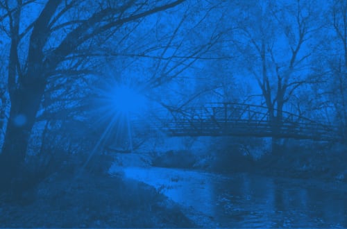 Wheat Ridge inception-app-prod/MzBlZmI5NGUtYmY3OC00ZjA1LThjM2MtNjEyNmVmODFkMmIz/content/2025/12/f816594563fbbec7a2ca2478b7bdec094cf7cb4f.webp