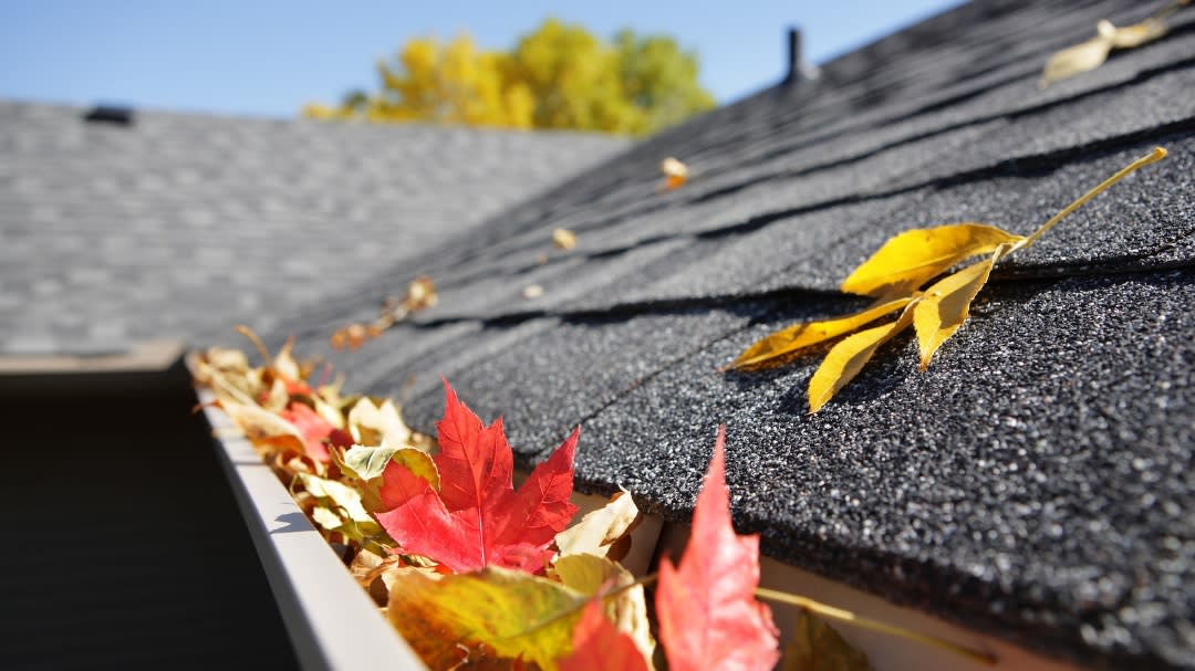 Fall Home Maintenance Checklist for New Jersey Homeowners inception-app-prod/MzEyNmI4NmMtZTRiMi00MjE4LTg2Y2EtMDc3MmZjZTc3Y2I5/content/2025/10/6e9b013e4eaaae24964490bf366357812c5aaddb.jpg