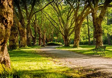 Parks and Local Attractions inception-app-prod/MzEyZGM2Y2YtNTE3MC00ZjA0LTg4OTUtZWQ3NWU1MzM1OTU5/content/2024/06/81476fa6b5212c69f0efd8b1f3afd573e60213c1.webp