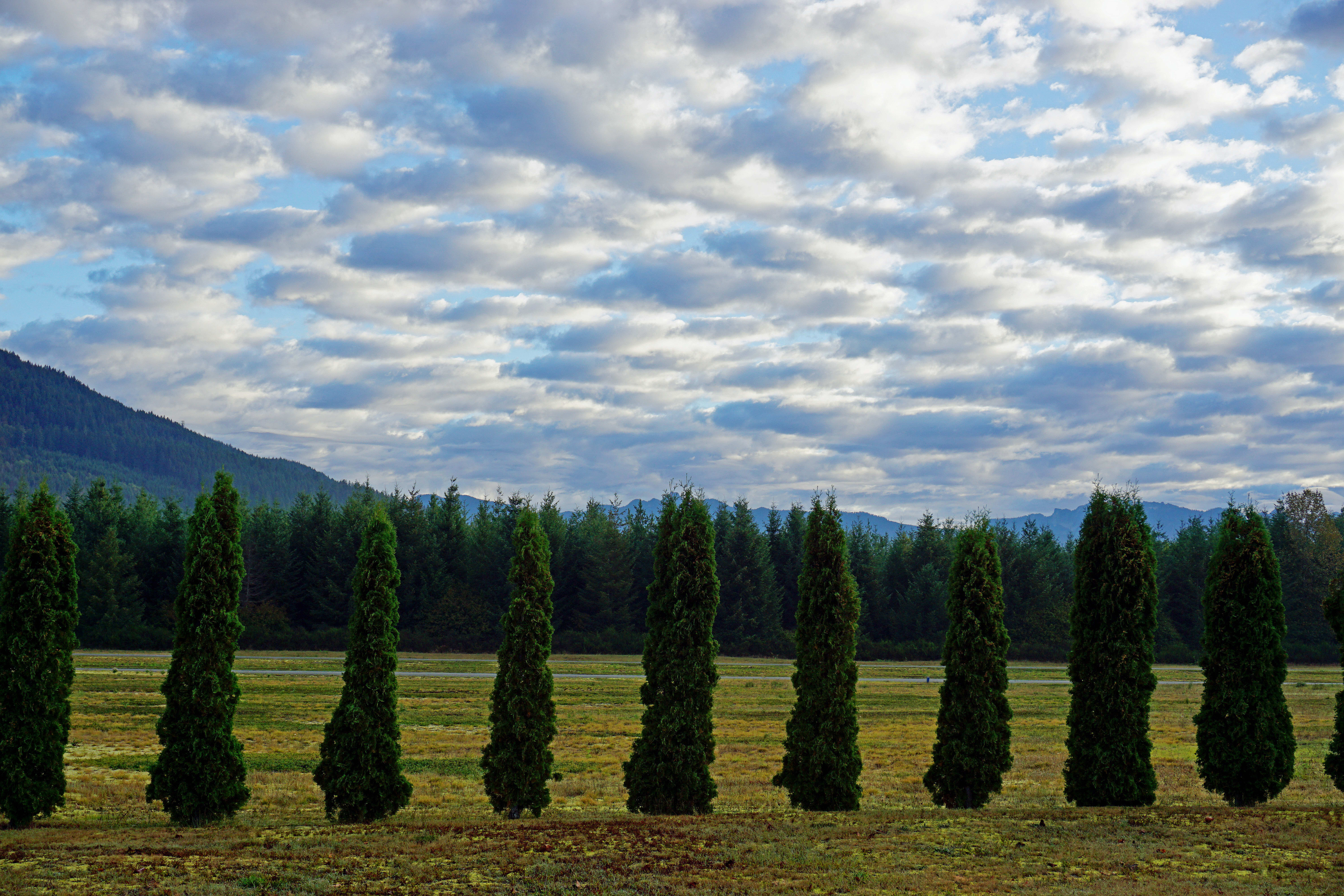 Darrington inception-app-prod/MzNhNTQ4OGItMDVhNC00ZWM3LWE5YTEtMGVjZGZlZWM0M2I1/content/2025/10/e894ba1f60c7fcb1603f14b04da2f248f16b1200.jpg