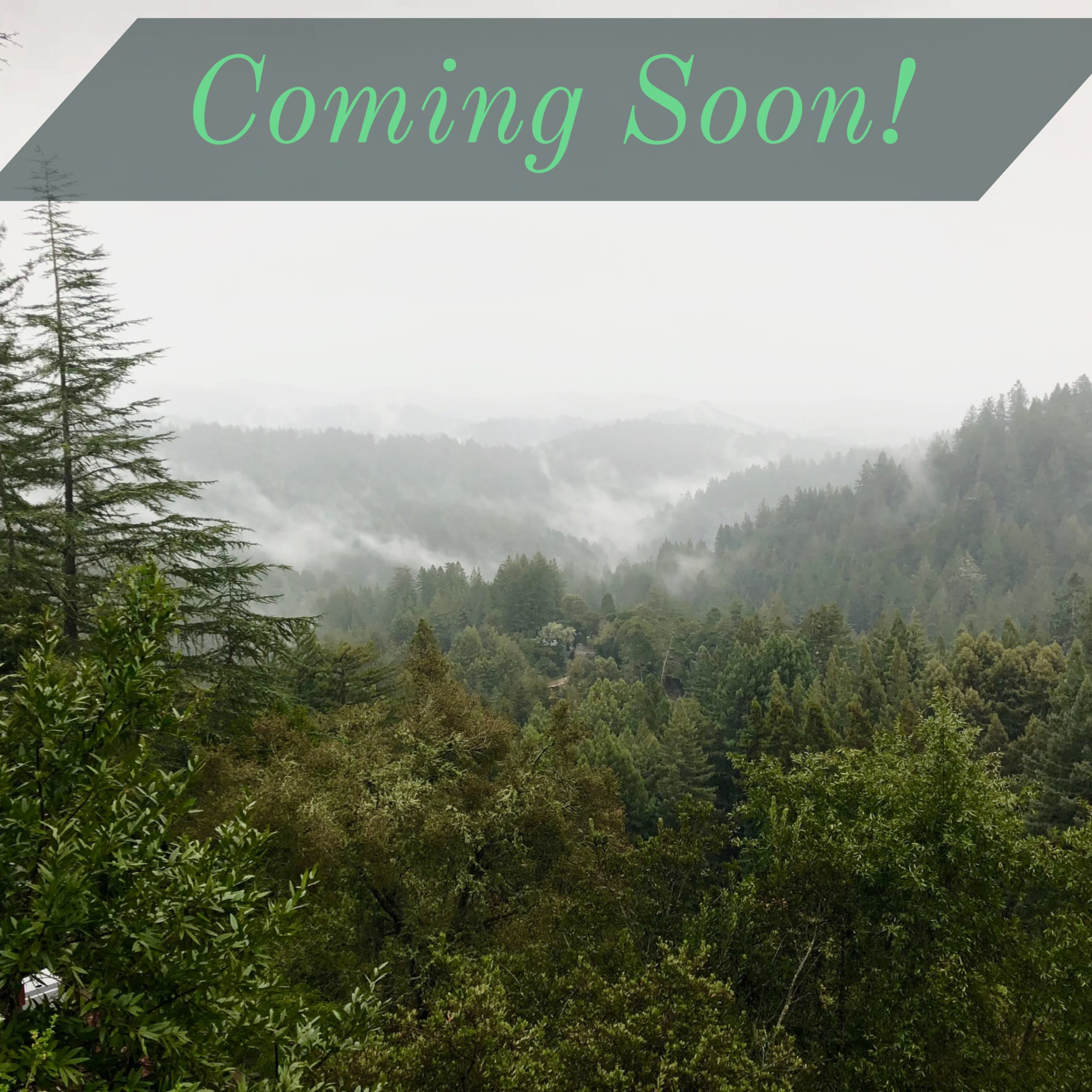 inception-app-prod/MzNhYTIwZTEtOWI0MC00ODk3LWFjODAtYmZhOTNmNmUxNjVj/content/2018/03/My Post %287%29.jpg