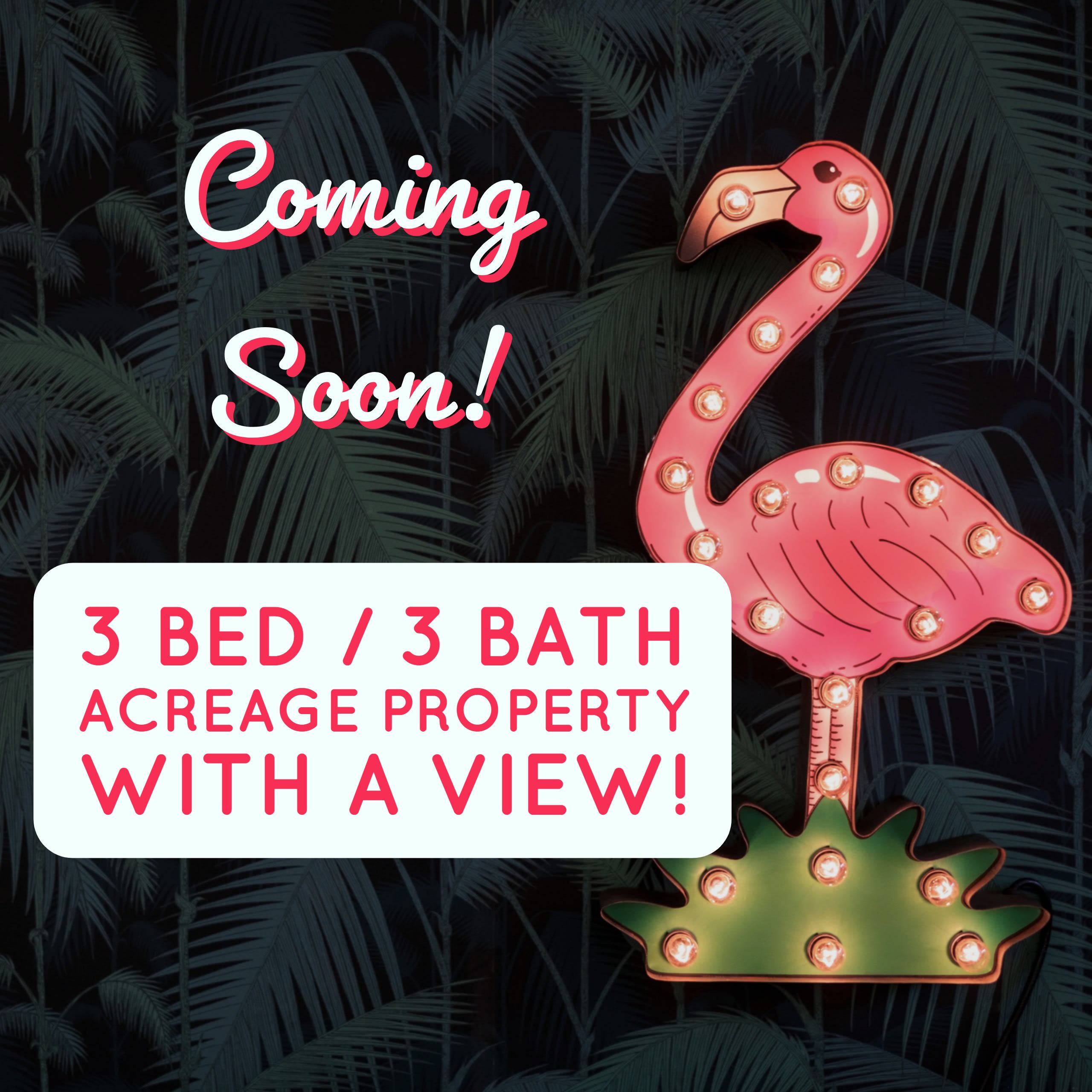 New Coming Soon Listing! inception-app-prod/MzNhYTIwZTEtOWI0MC00ODk3LWFjODAtYmZhOTNmNmUxNjVj/content/2018/03/My Post %288%29.jpg