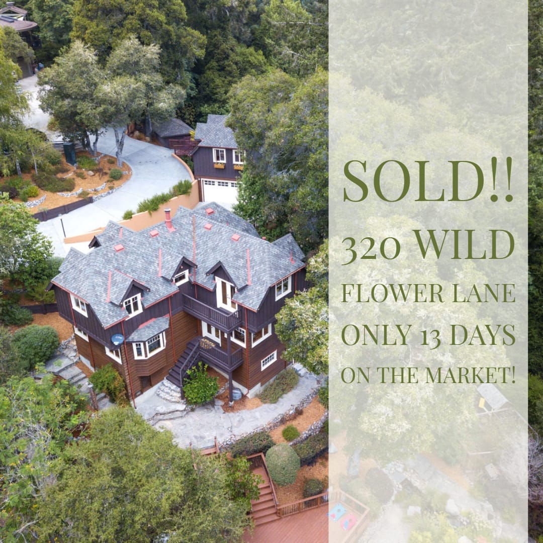 inception-app-prod/MzNhYTIwZTEtOWI0MC00ODk3LWFjODAtYmZhOTNmNmUxNjVj/content/2018/10/Wild Flower Sold.jpg