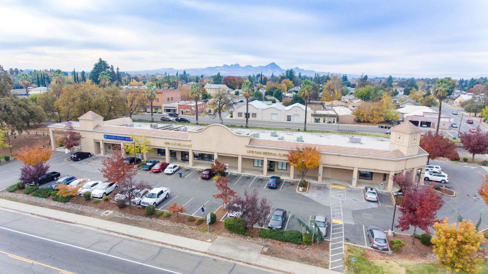 LIVE OAK inception-app-prod/MzNhYTIwZTEtOWI0MC00ODk3LWFjODAtYmZhOTNmNmUxNjVj/content/2020/08/image.jpg