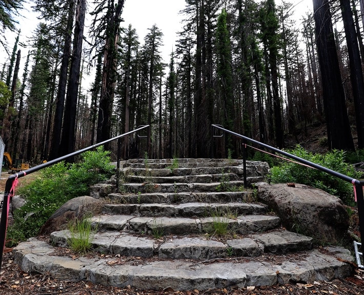 Two years later, CZU fire recovery continues in Santa Cruz Mountains inception-app-prod/MzNhYTIwZTEtOWI0MC00ODk3LWFjODAtYmZhOTNmNmUxNjVj/content/2022/08/ff110bdf80895b8e3eb02bba6d3cb38975ef1e94.jpg