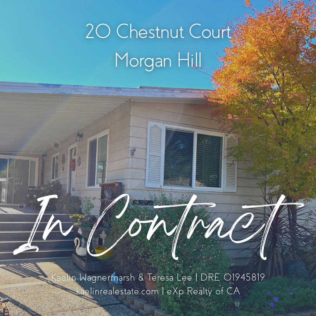 IN CONTRACT — 20 Chestnut Ct inception-app-prod/MzNhYTIwZTEtOWI0MC00ODk3LWFjODAtYmZhOTNmNmUxNjVj/content/2022/11/fd3e5cd734e5e50c2ee594d9845d3f9ec6238833.png