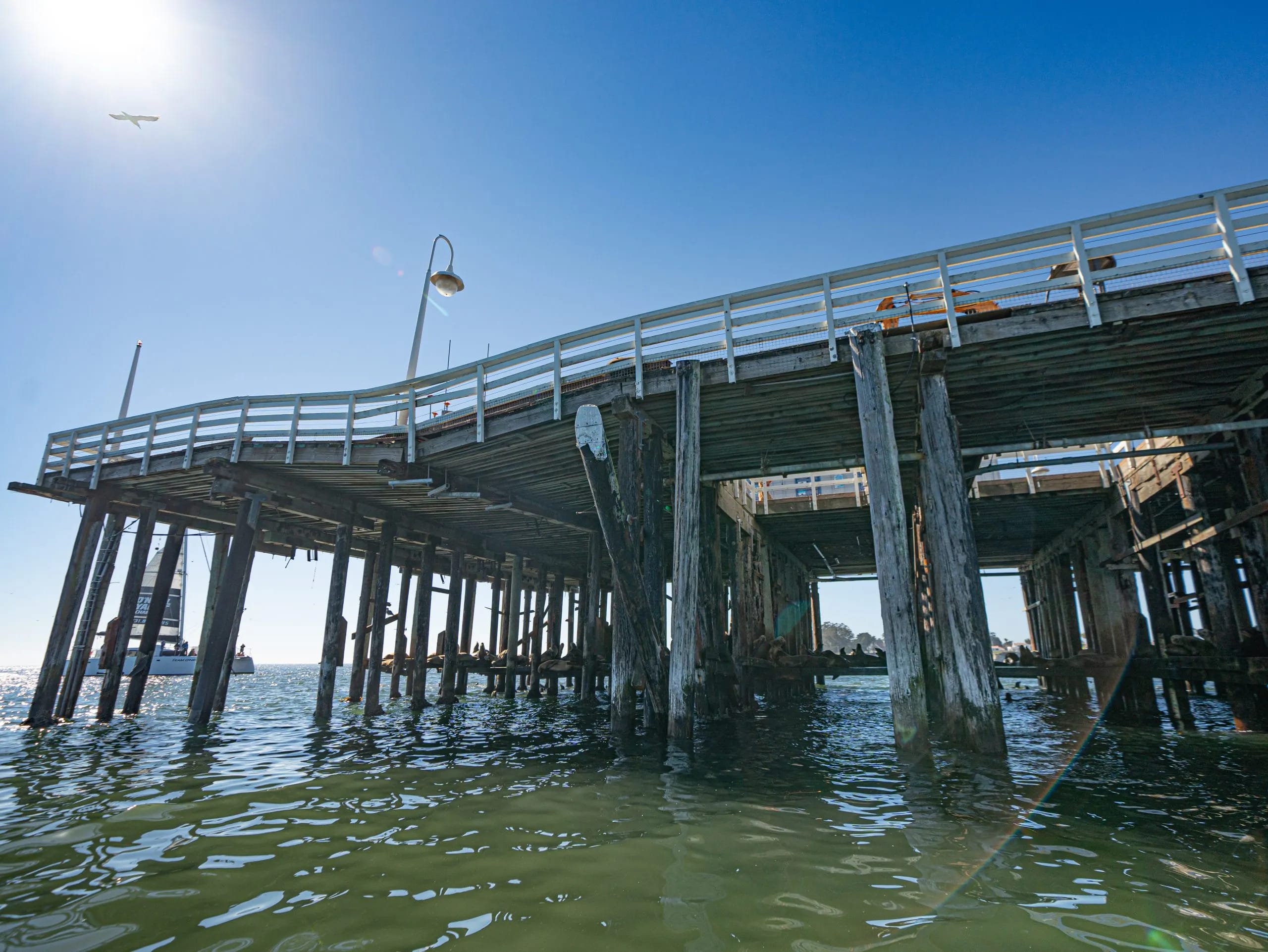 Public Wi-Fi is coming to the Santa Cruz Municipal Wharf inception-app-prod/MzNhYTIwZTEtOWI0MC00ODk3LWFjODAtYmZhOTNmNmUxNjVj/content/2024/11/cfbbd6bfc6aa096890ea5257d9a64203a27158b3.png