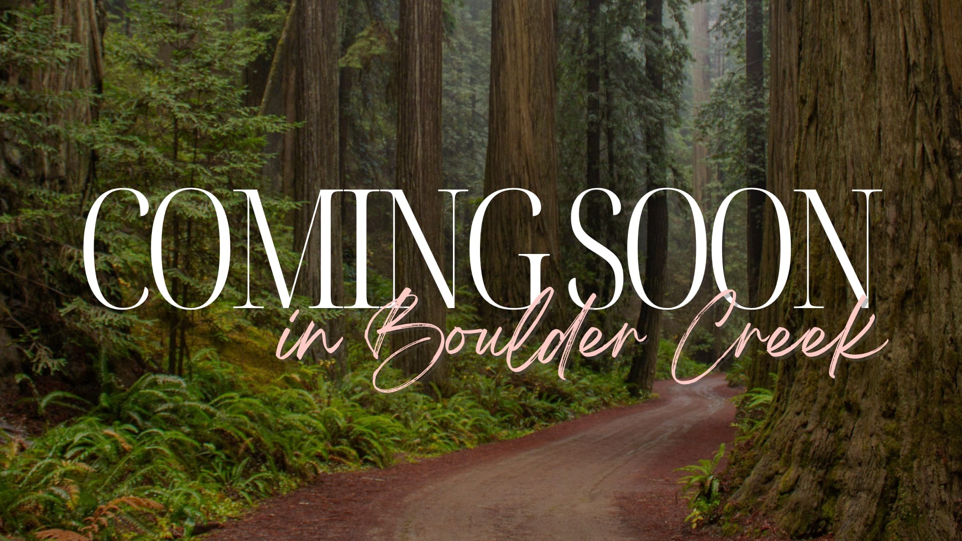 COMING SOON! inception-app-prod/MzNhYTIwZTEtOWI0MC00ODk3LWFjODAtYmZhOTNmNmUxNjVj/content/2025/01/4cd20f860f78ec724b4d4c1e463515732784d6af.png