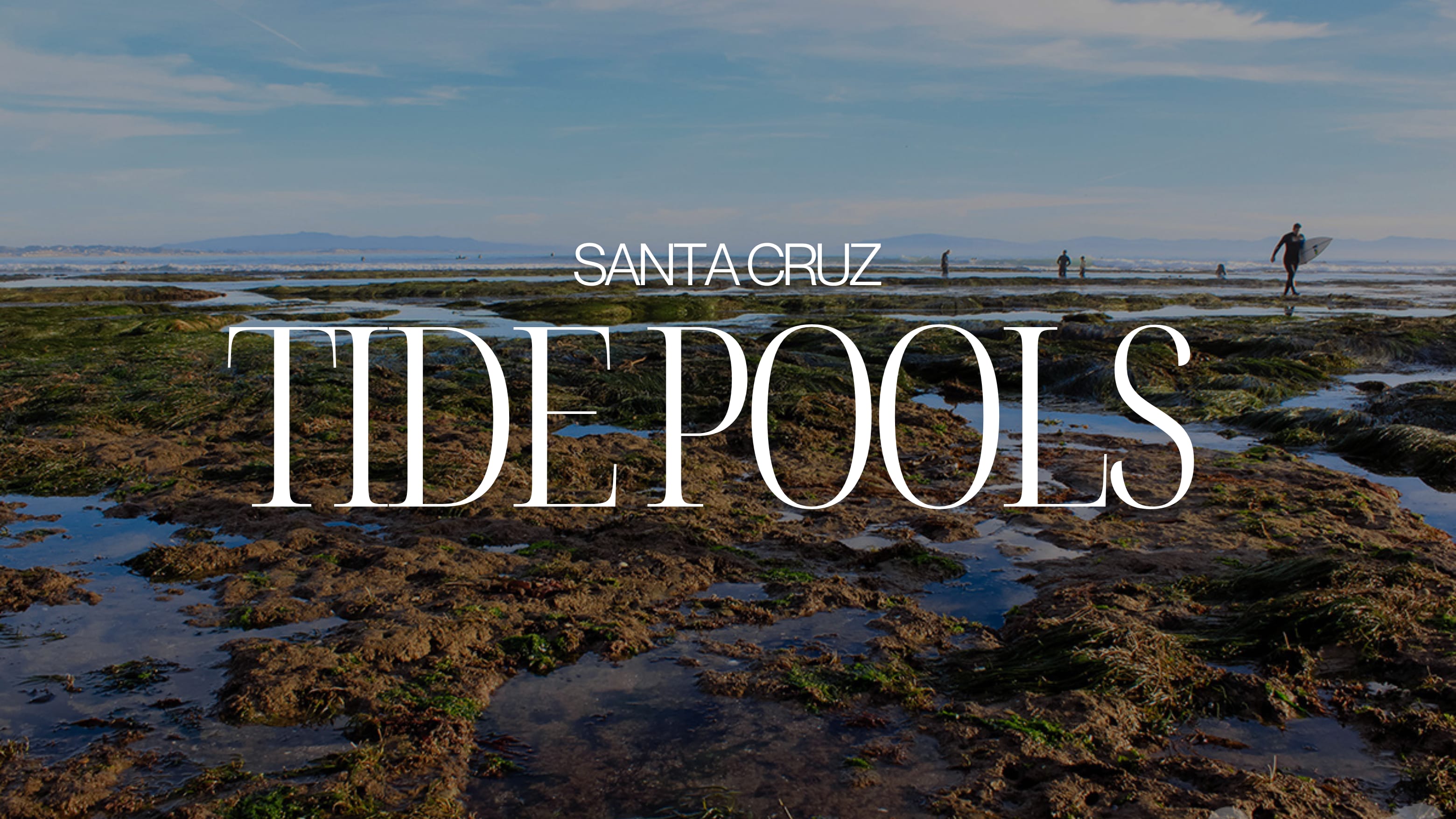 SANTA CRUZ TIDE POOLS inception-app-prod/MzNhYTIwZTEtOWI0MC00ODk3LWFjODAtYmZhOTNmNmUxNjVj/content/2025/05/27662f227592c7ed7599172d9a31206ecb01b7d5.png