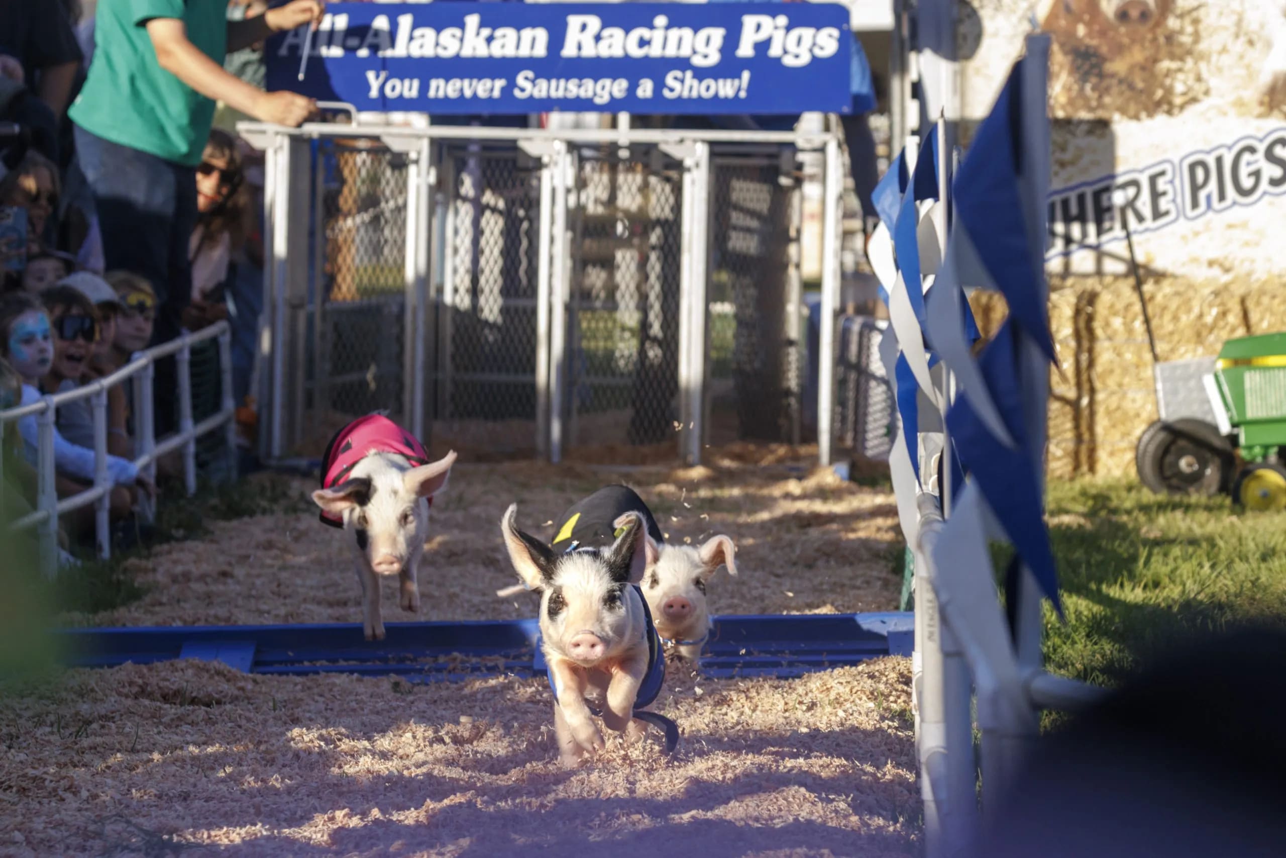 Everything you need to know about the 2025 Santa Cruz County Fair inception-app-prod/MzNhYTIwZTEtOWI0MC00ODk3LWFjODAtYmZhOTNmNmUxNjVj/content/2025/09/e1b2866bbe69e41ab5b3a2e25d19af4e56e9b9ca.png
